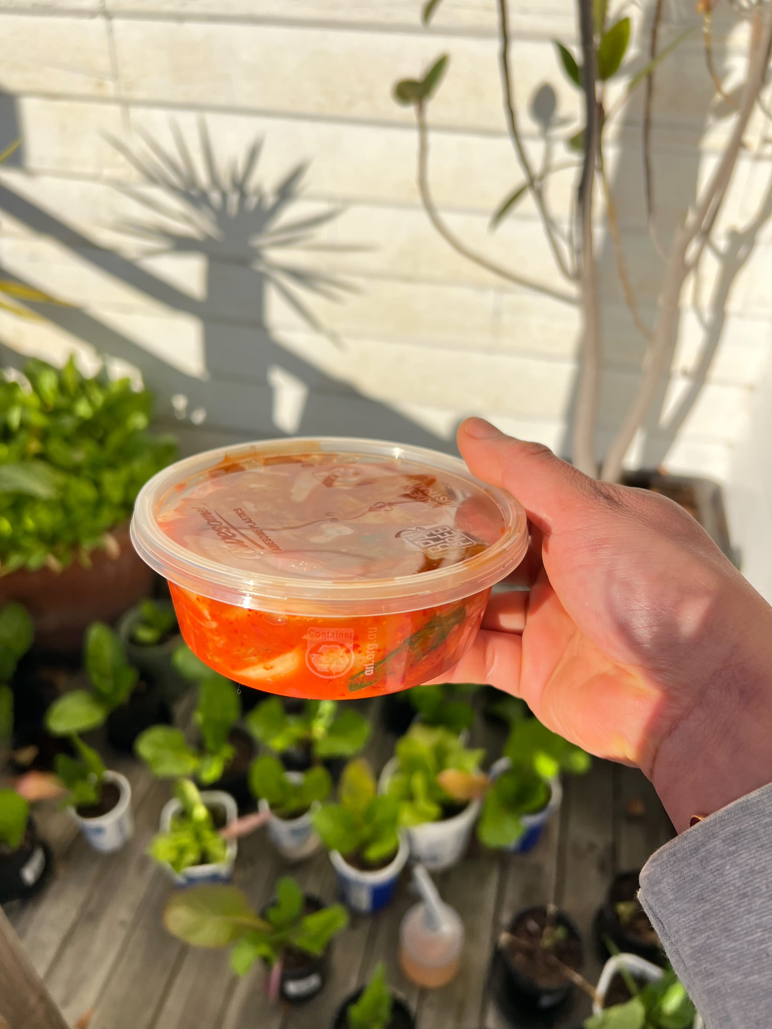 Kimchi In Hobart 250g