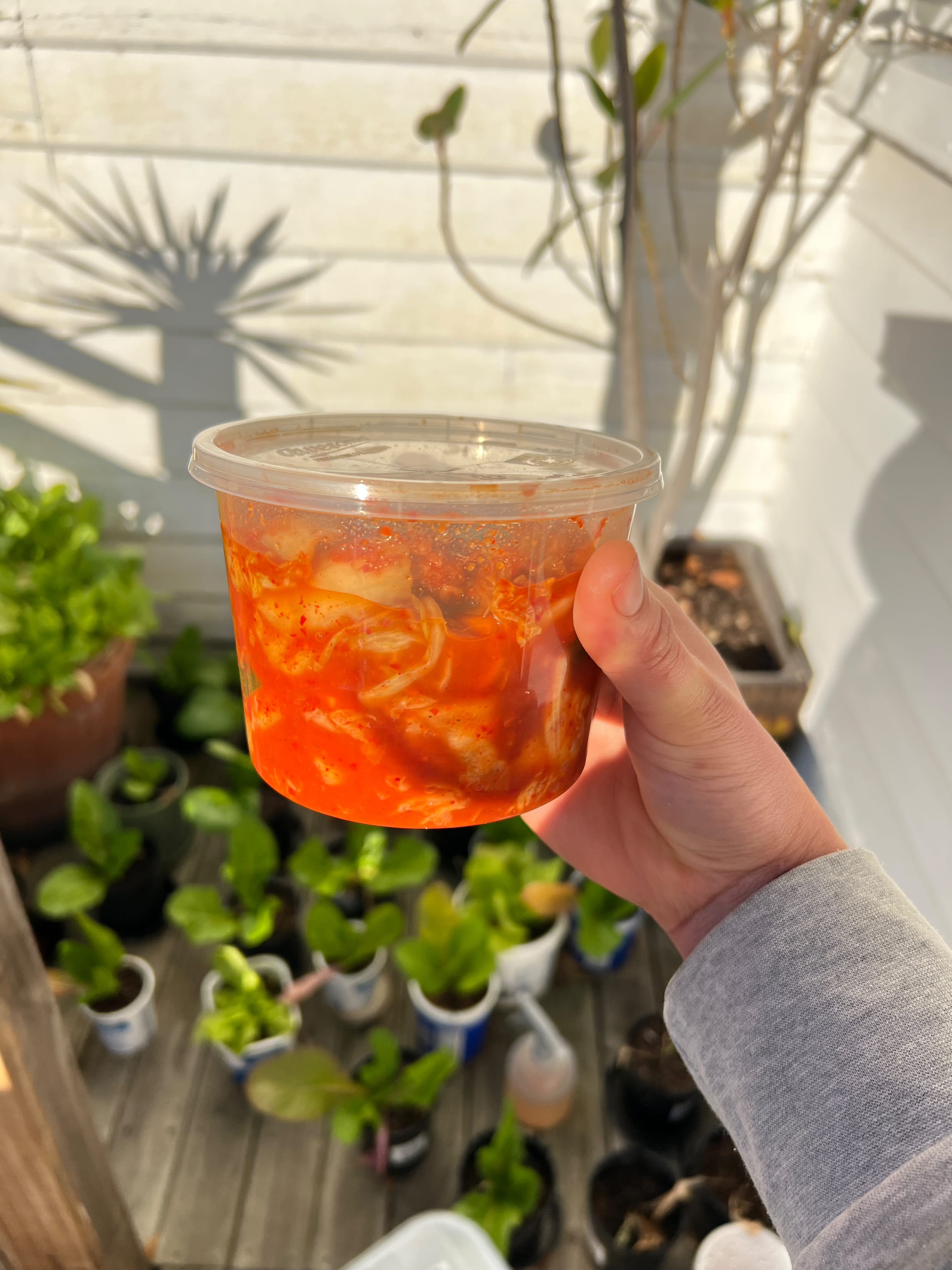 Kimchi In Hobart 500g